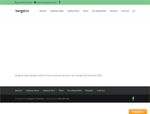 Tablet Screenshot of bengal.ro
